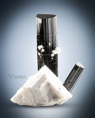 Black Tourmaline Crystal