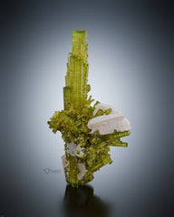 Gorgeous Bunch of Green Tourmaline With  Hambergite