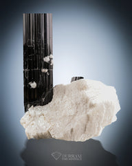 Black Tourmaline Crystal