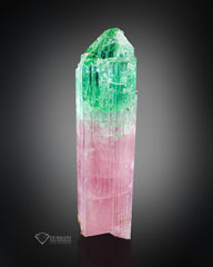 Rare Bi-Colour Tourmaline Crystal from Paprok Afghanistan