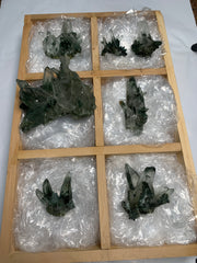 7 Pieces Batch 1 Of Chlorite Quartz