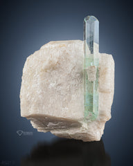 Gorgeous Aquamarine Crsytal Perched on Feldspar Matrix