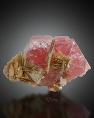 Pink Apatite Crystal with Muscovite  from Pakistan