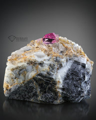 Pink colour Topaz crystal perched on Matrix