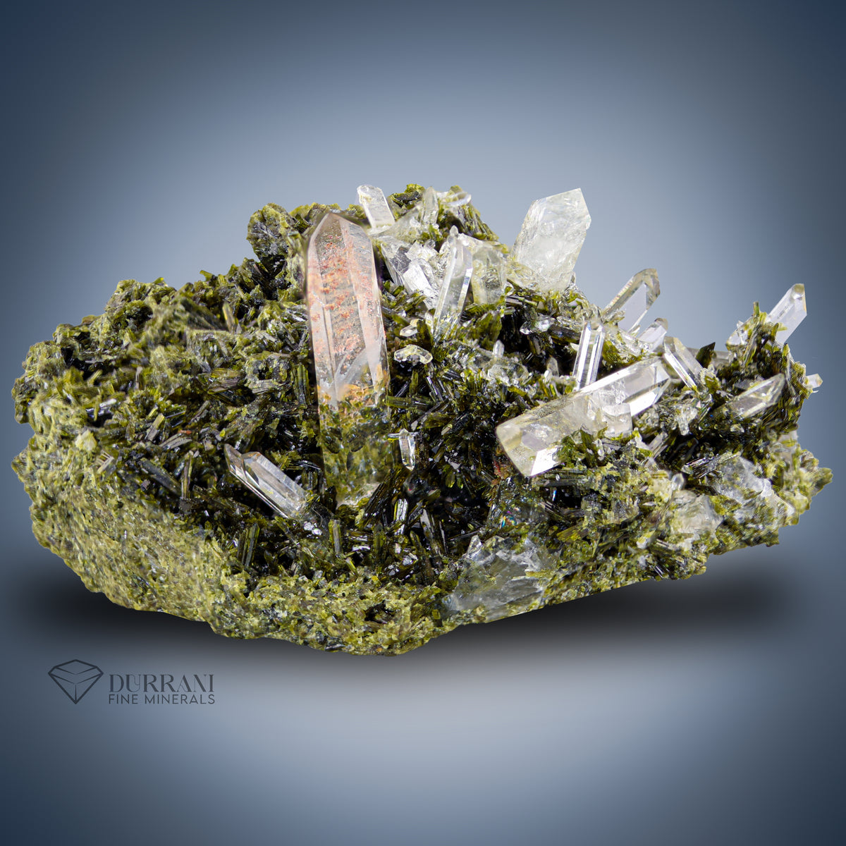 Clear Quartz bunch on Epidote.