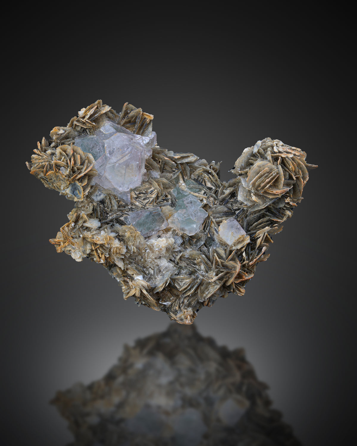 Bicolor Fluorite Crystal On Mica