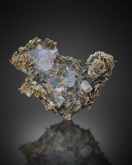Bicolor Fluorite Crystal On Mica