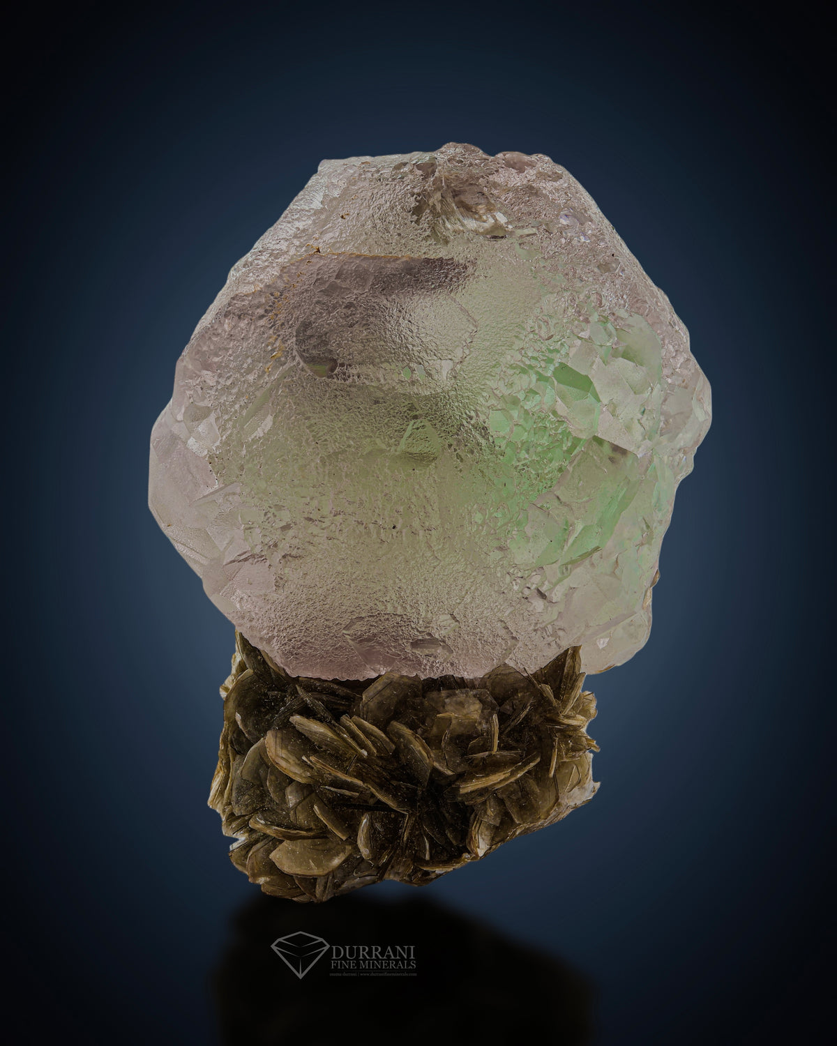 Bicolor Terminated Fluorite on Muscovite