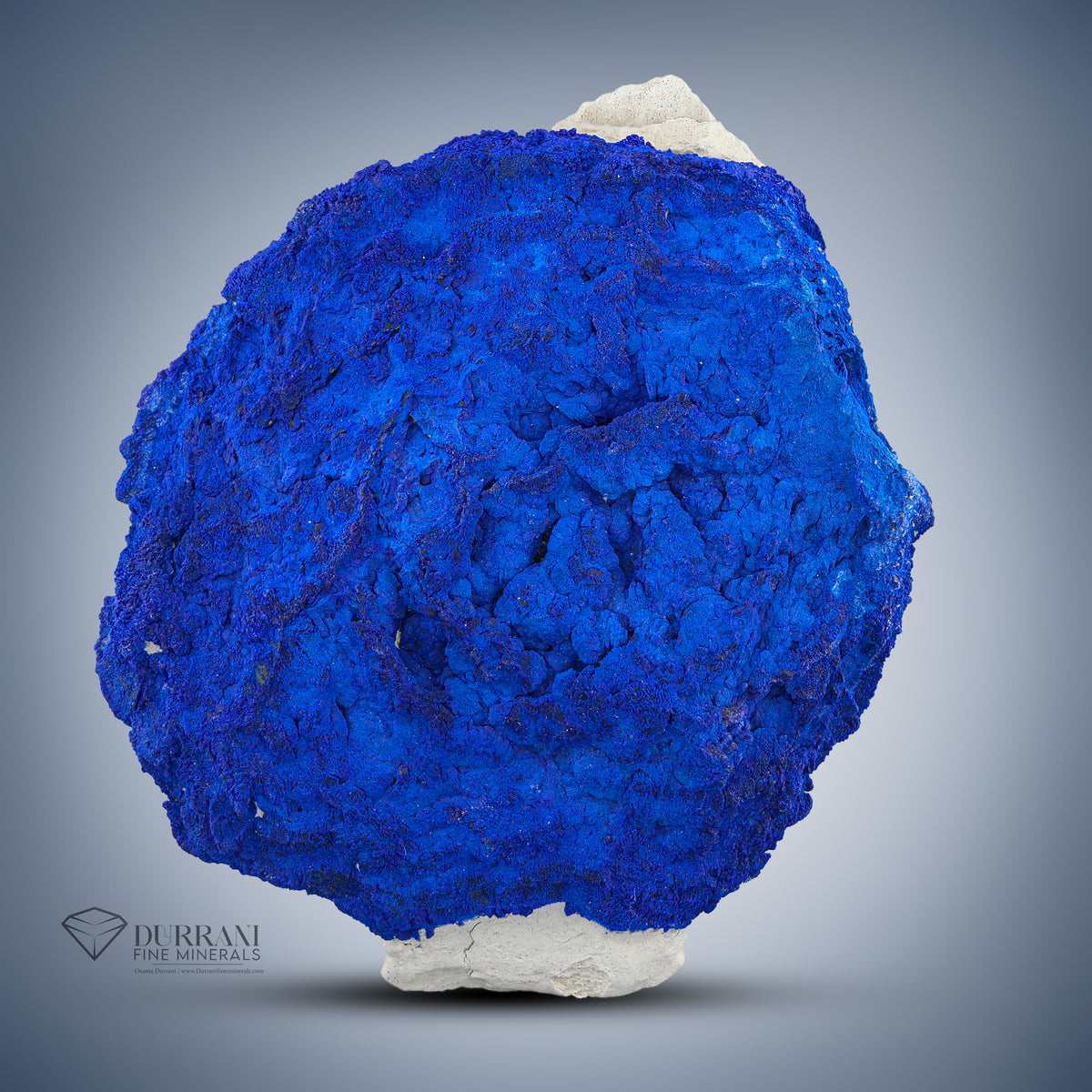 Attractive Specimen Of Azurite  On Kaolinite Matrix.