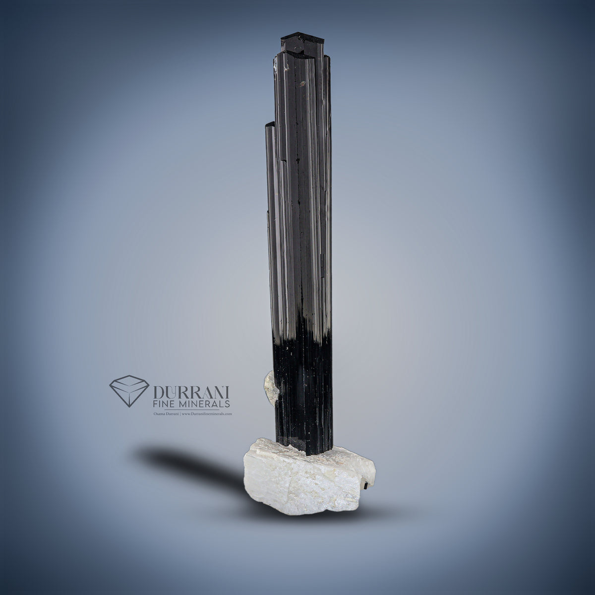 Black Tourmaline on Albite matrix.