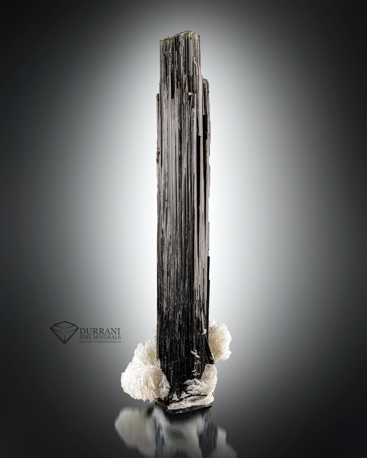 Fabulous Black Tourmaline on Albite and combine with topaz.