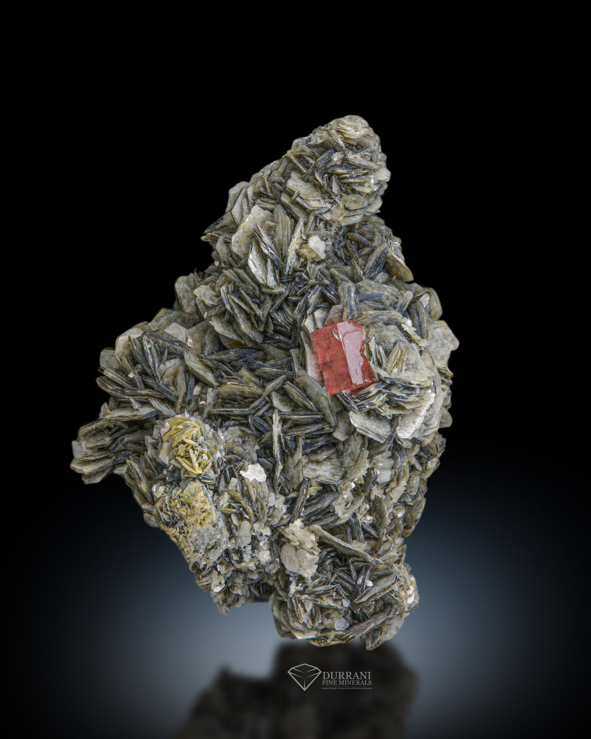 Pink Apatite on Muscovite from , Gilgit Baltistan Pakistan