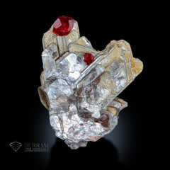 Super Gemmy clear Spessertine Garnet perched on Mica .