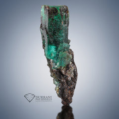 Emerald on Mica from Chitral KPK, Pakistan.