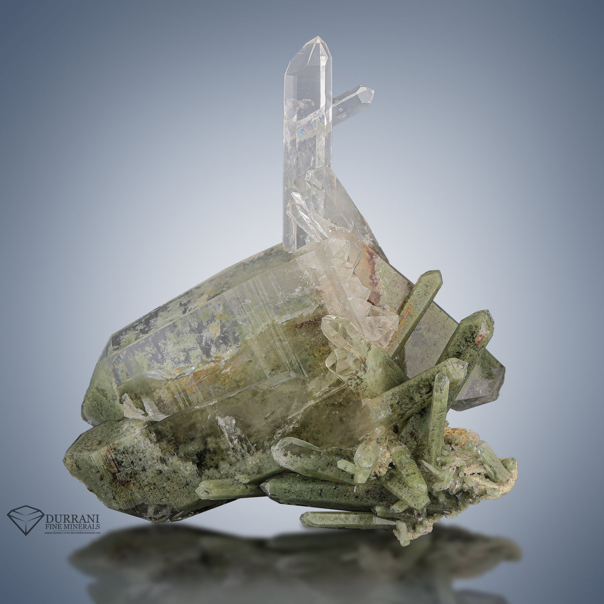 Chlorite Quartz