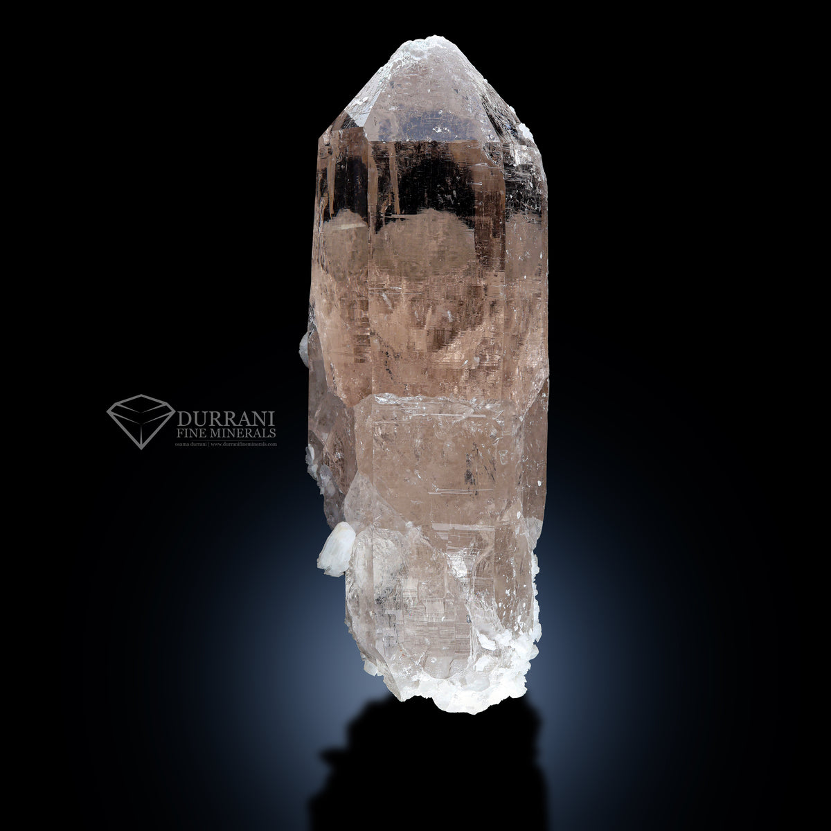 Clear terminated Quartz with Calcite .