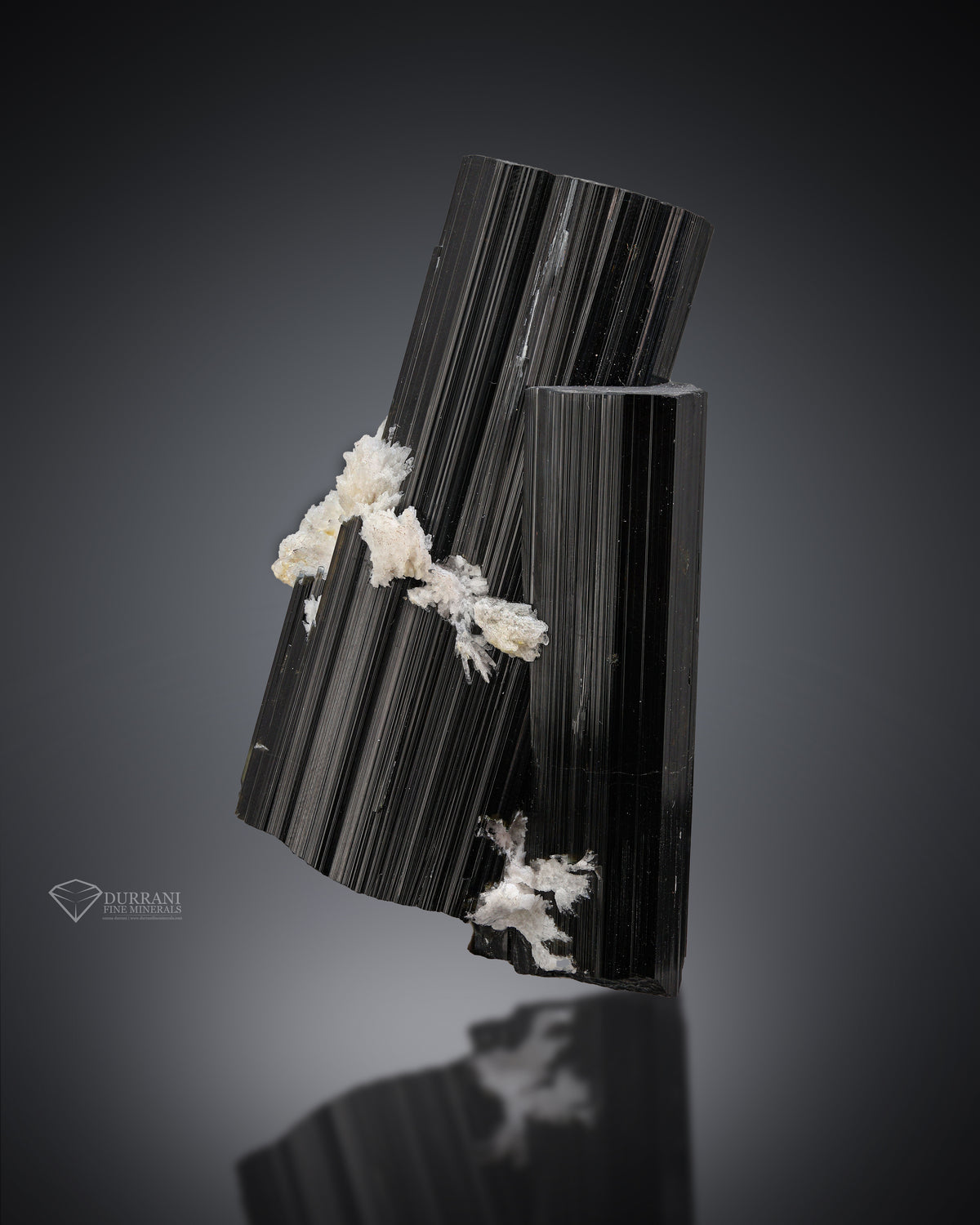 Black Tourmaline with white Albite from Pakistan