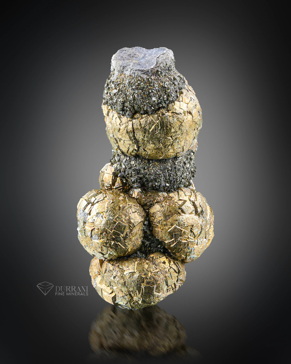 Golden Color Pyrite On Marcasite From Pakistan