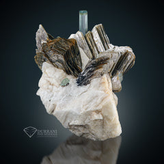 Terminated Aquamarine crystal on Muscovite and Feldspar.