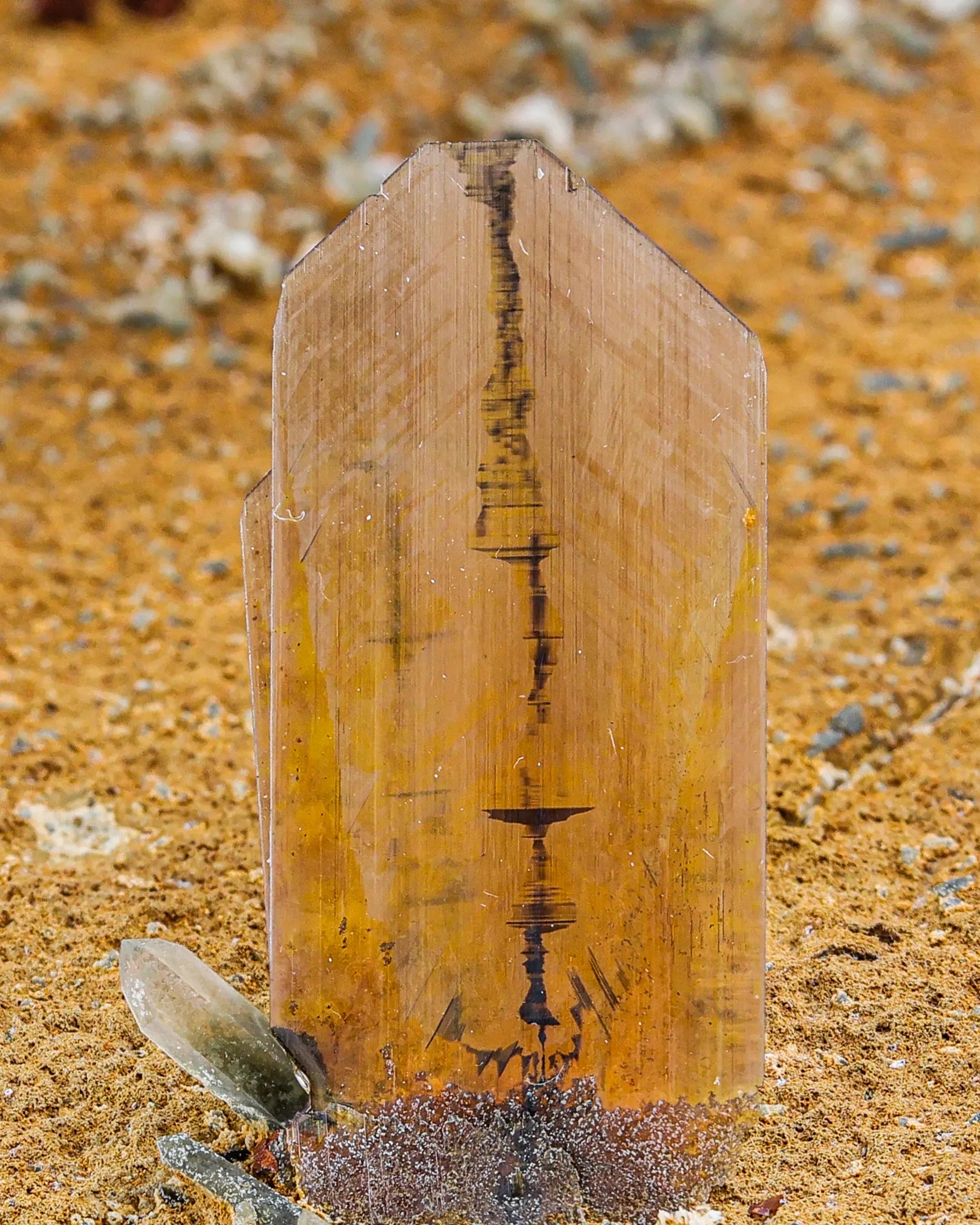 Beautiful Transparent Brookite Crystals perched on Matrix