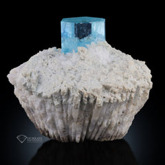 Beautiful Terminated Aquamarine Crystal grown on Albite.