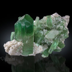 Green Tourmaline on Albite and lepidolite