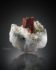 Brookite on Chlorine Quartz Matrix from Pakistan