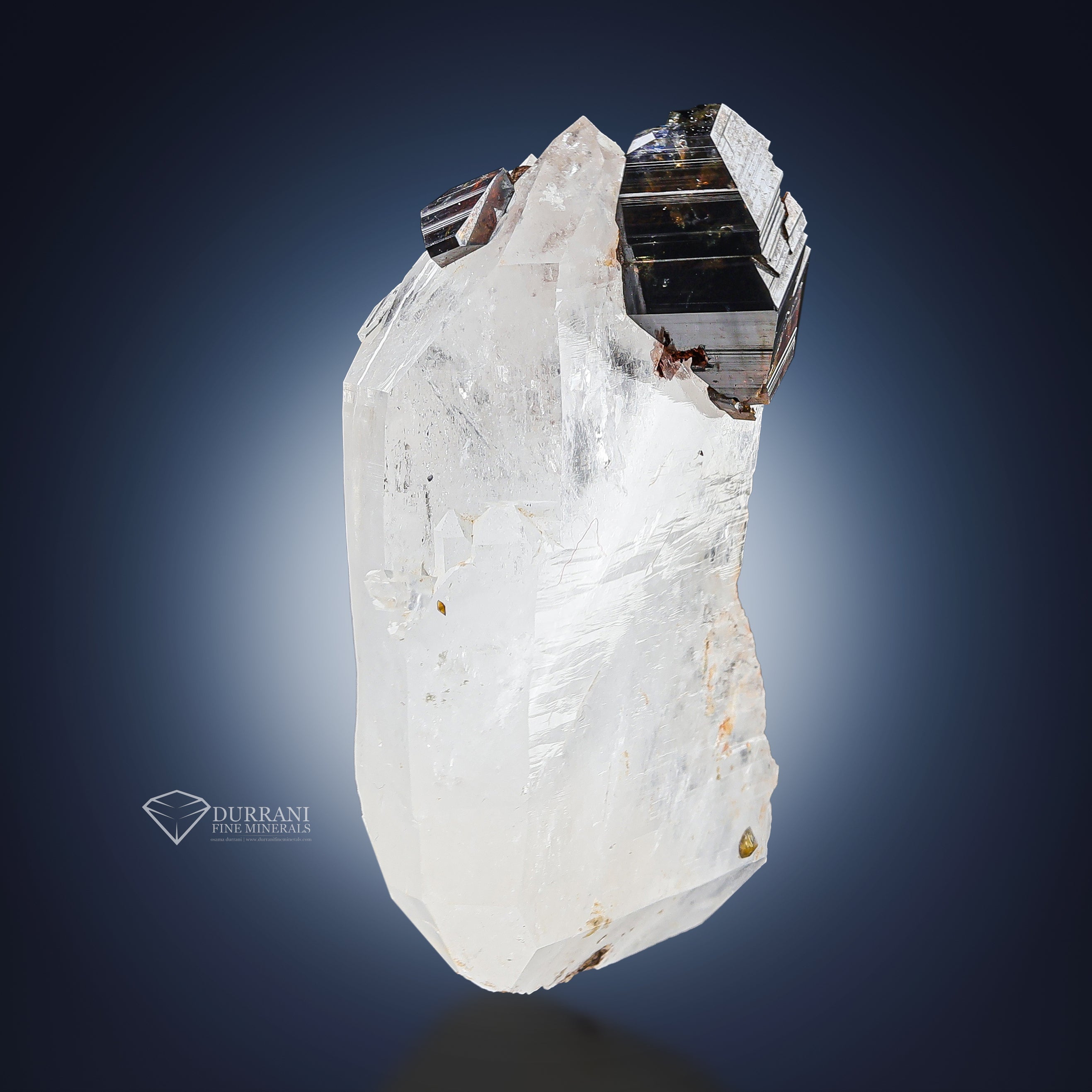 Anatase crystals perched on Faden Quartz.