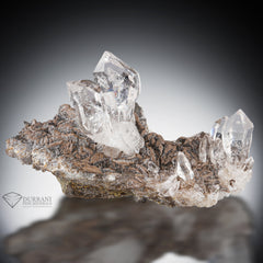 Beautiful Terminated Diamond Quartz crystals perched on Calcite matrix