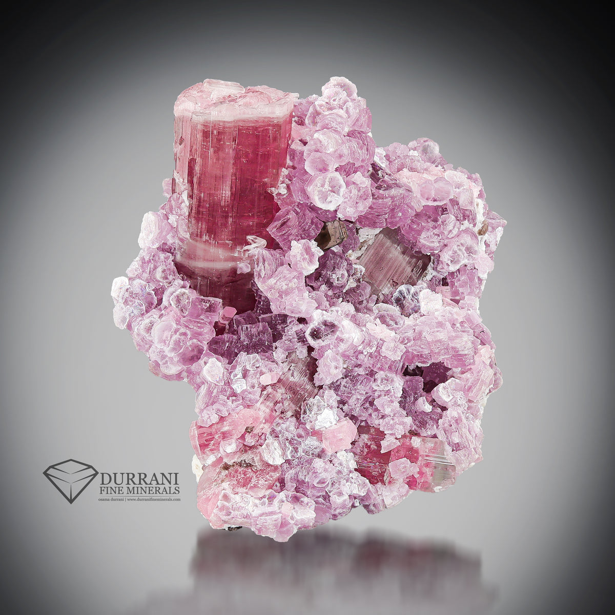 Rubellite Tourmaline with lepidolite