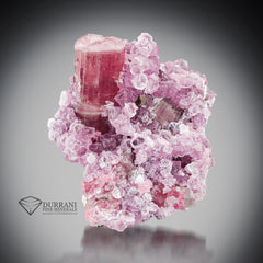 Rubellite Tourmaline with lepidolite