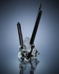 Black Tourmaline on Quartz .