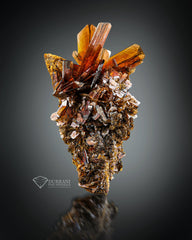 Beautiful Bunch of red colour Brookite perched on Matrix