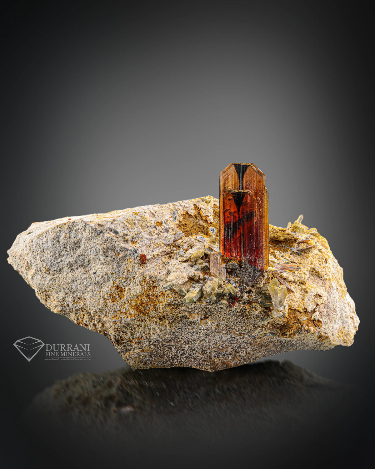 beautiful Brookite  crystal perched on matrix