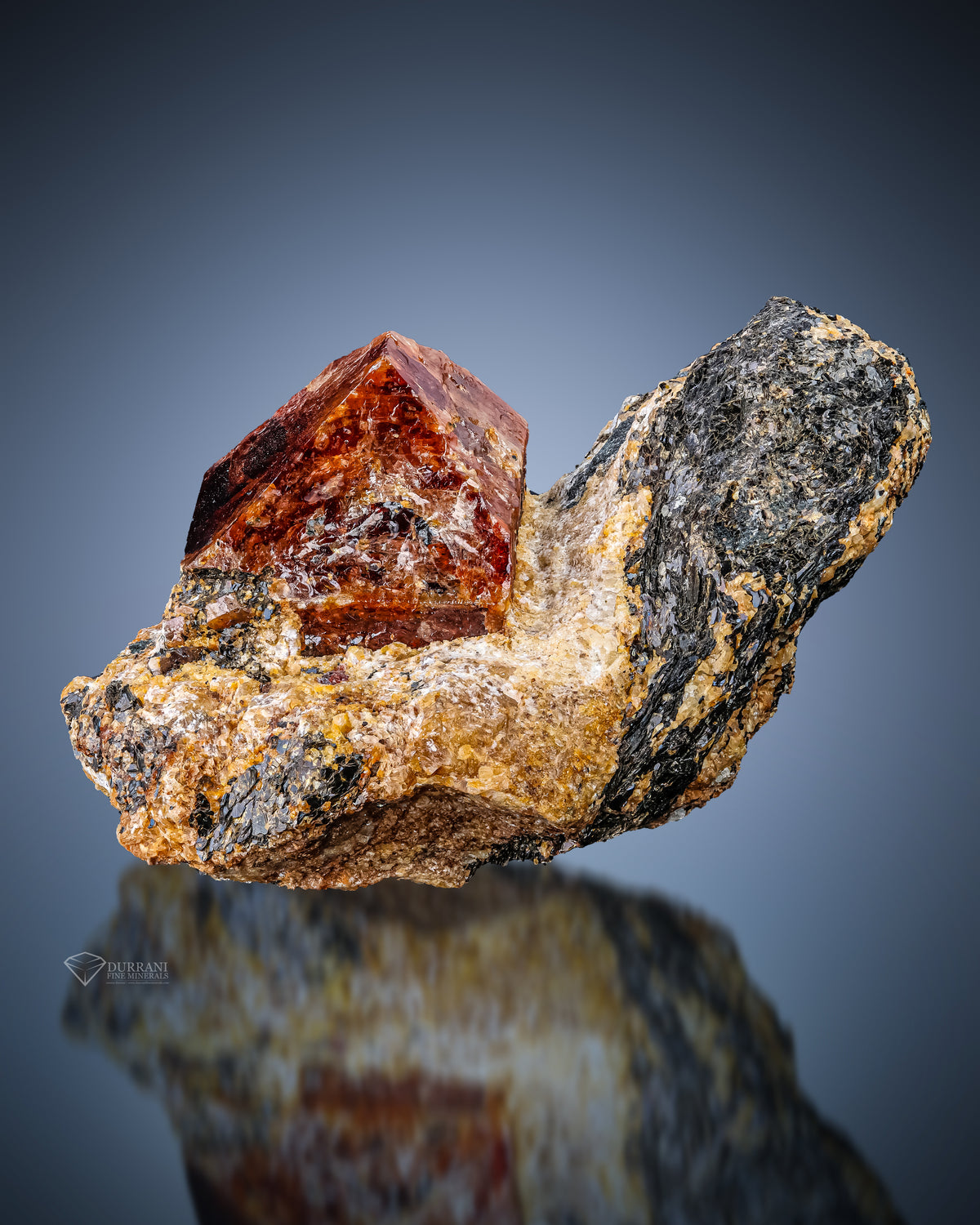 Beautiful Terminated Zircon Crystal Perched On Matrix