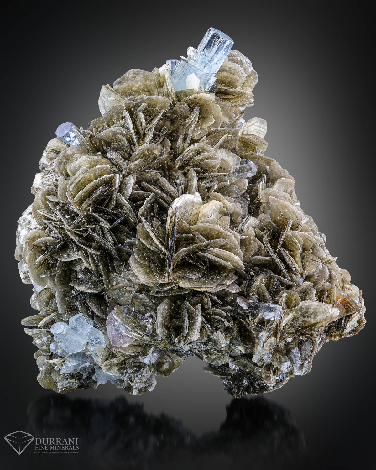 Fabulous Terminated Aquamarine perched on flower Shape Mica