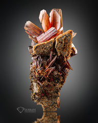 Beautiful Bunch of red colour Brookite perched on Matrix