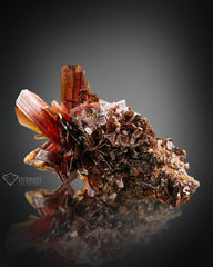 Beautiful Bunch of red colour Brookite perched on Matrix