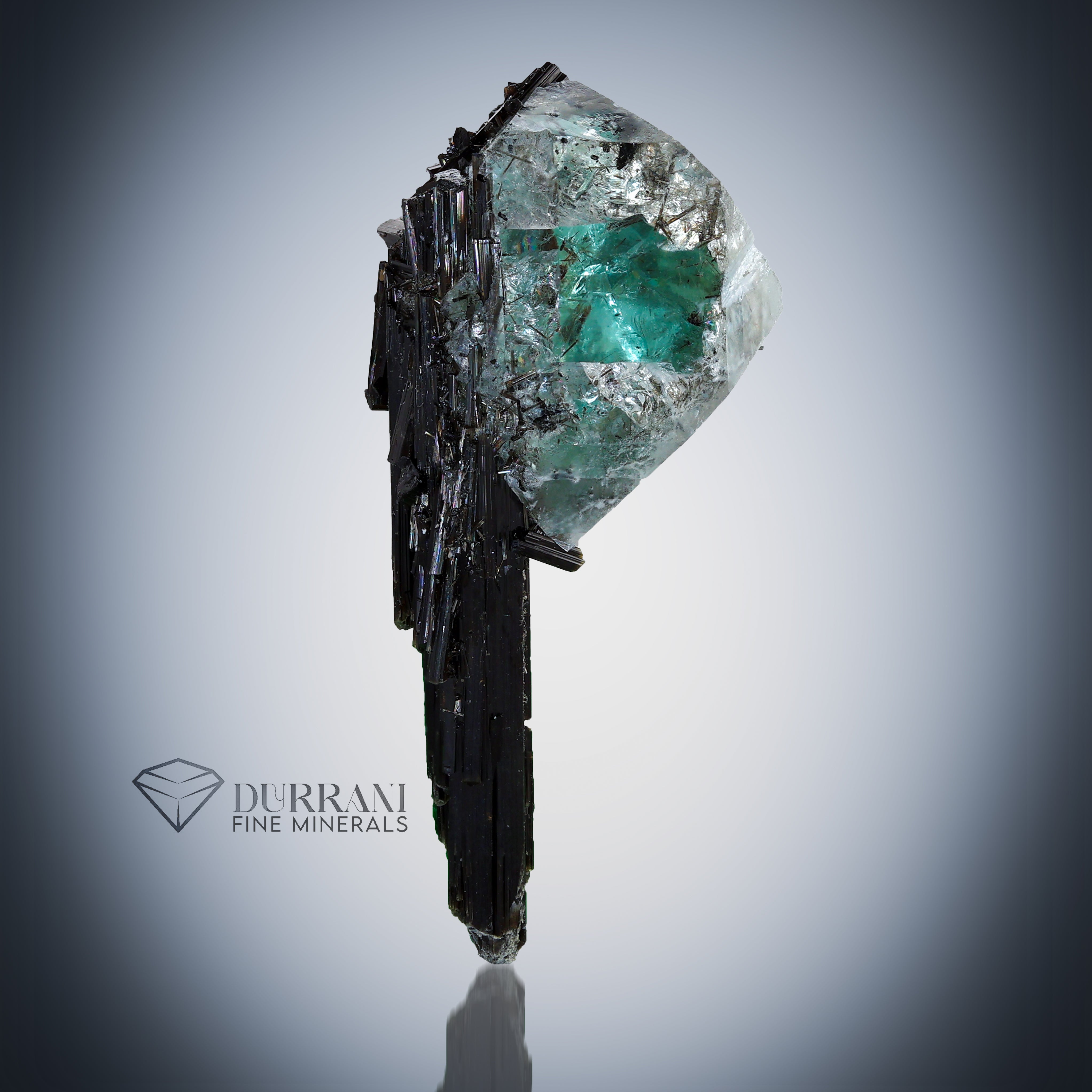 Green Fluorite perched on Schrol