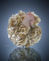 Pink Fluorite On  Muscovite from Gilgit-Baltistan, Pakistan