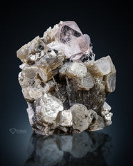 Morganite Crystal Perched On Muscovite Matrix