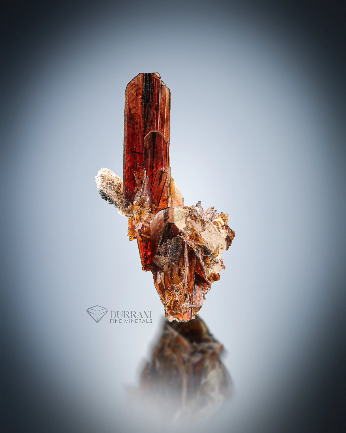 Terminated red colour Brookite perched on matrix