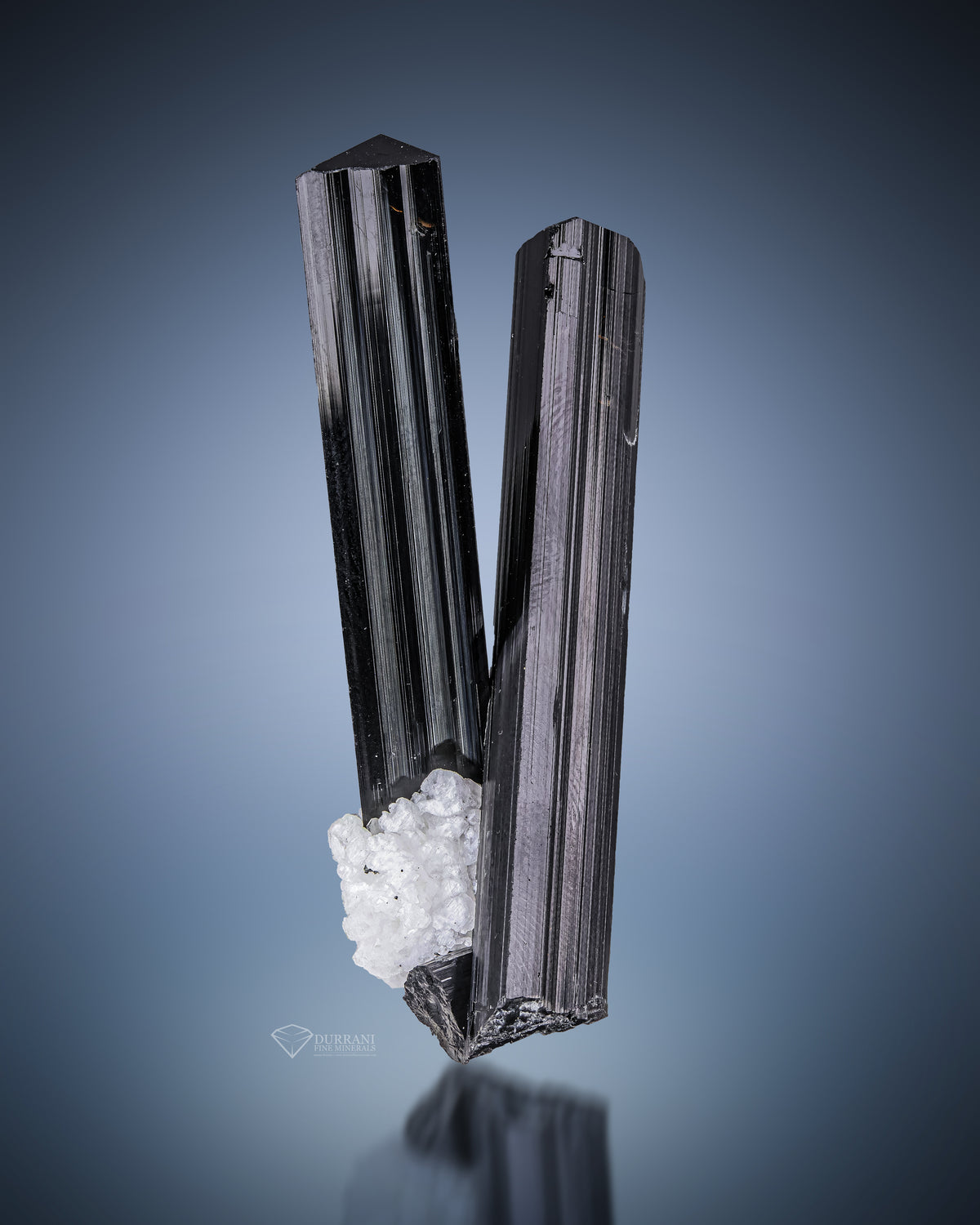 Black Tourmaline With Albite