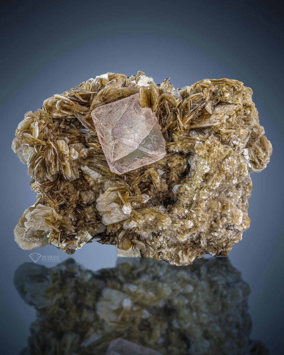 Pink Fluorite On Muscovite from Gilgit-Baltistan, Pakistan