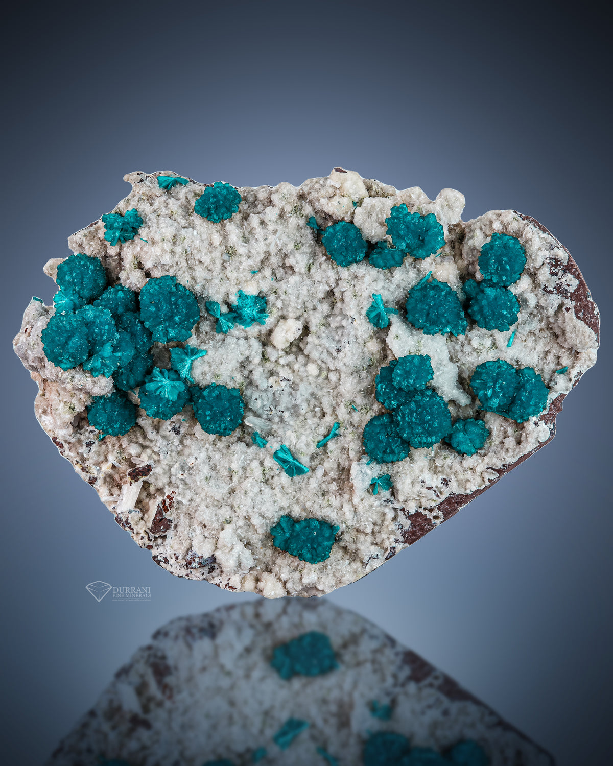 Cavansite on Stilbite from India