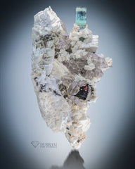 Interesting Combination of Aquamarine with Quartz, Feldspar, Garnet, and Schorl