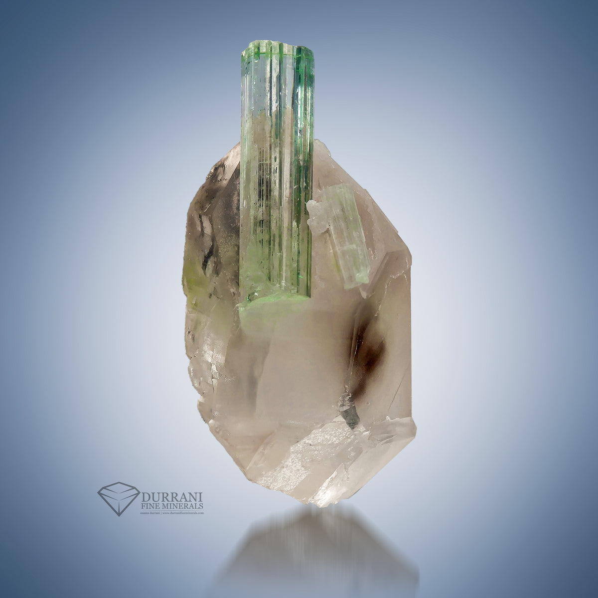 Tourmaline crystal perched on Quartz