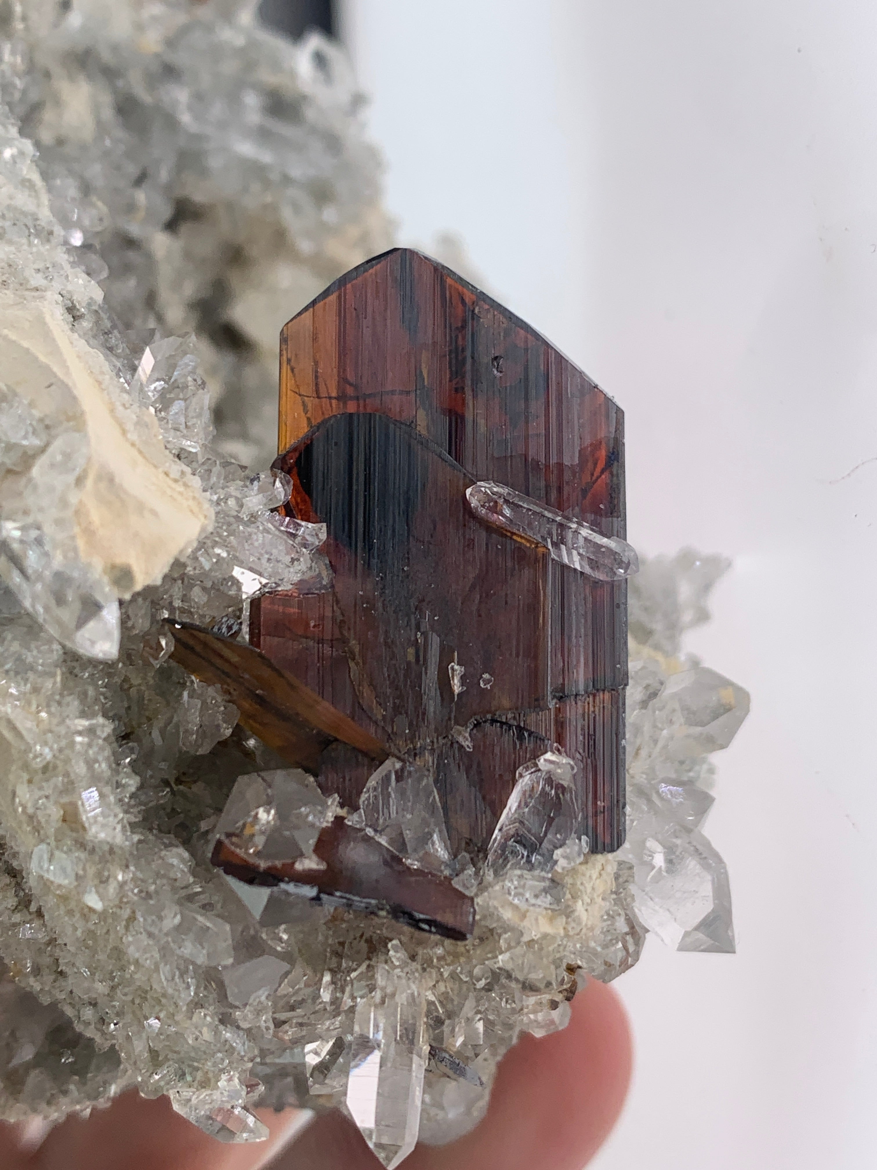 Red colour Brookite Crystals perched on Quartz matrix