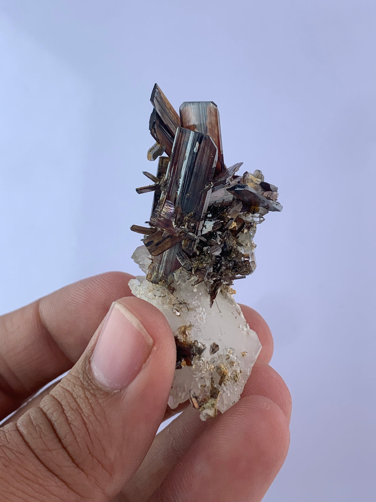 Brookite Bunch perched on Quartz matrix