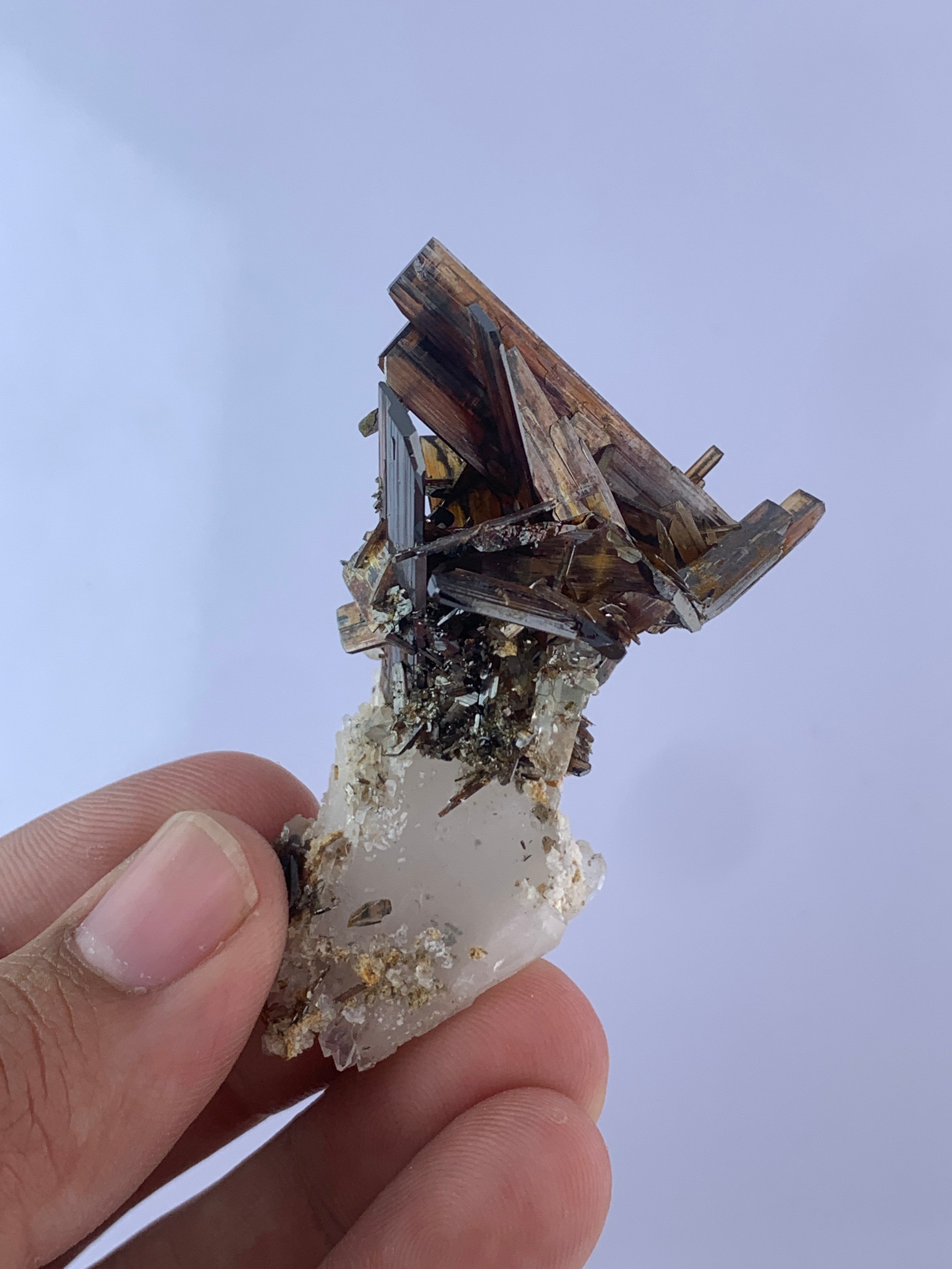 Brookite Bunch perched on Quartz matrix